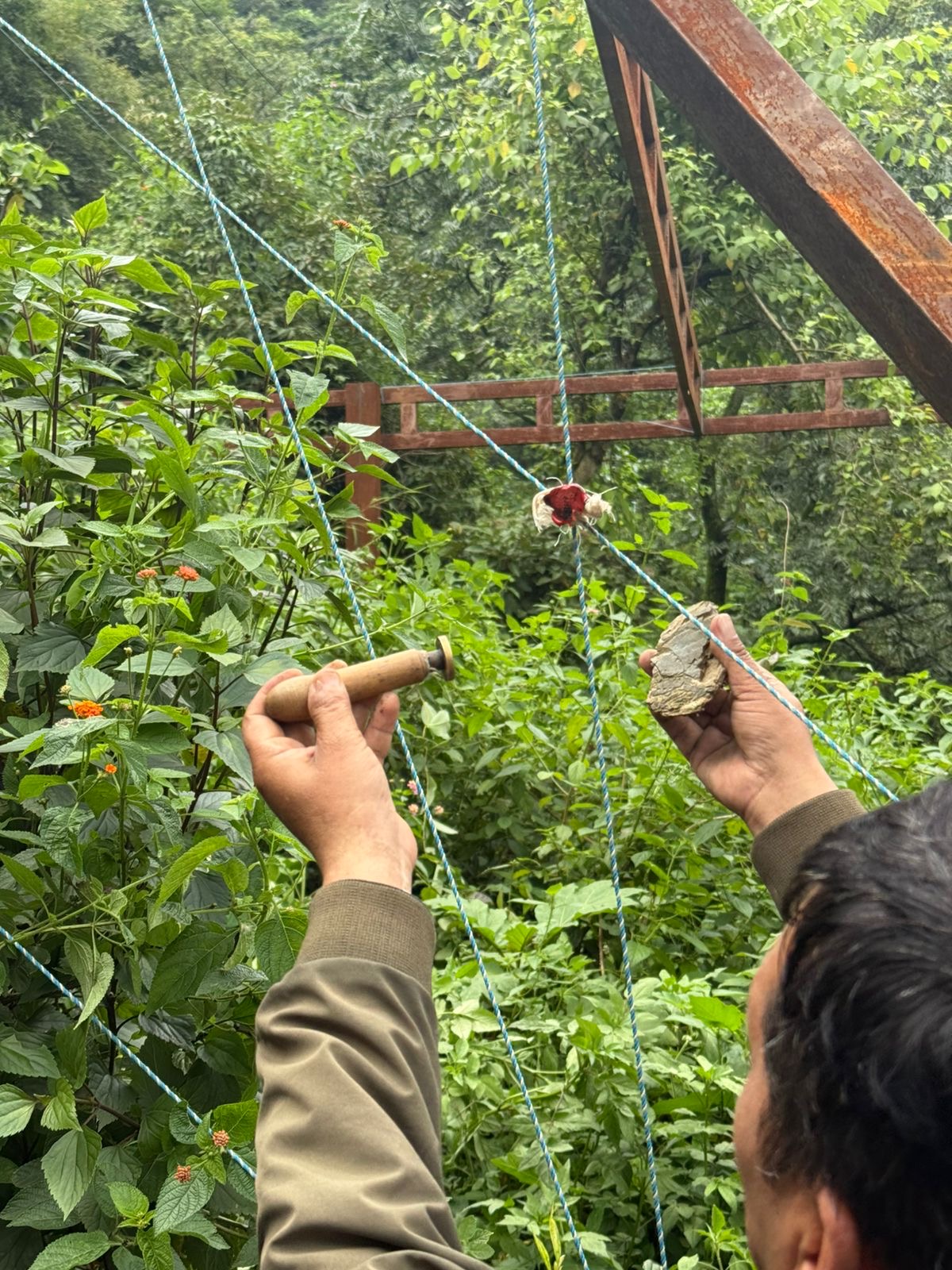 प्राधिकरण क्षेत्रान्तर्गत, विभिन्न स्थानों पित्थूवाला,व मसूरी में किये जा रहे अवैध निर्माणों के विरूद्ध कार्यवाही करते हुये सीलिंग की कार्यवाही की गयी।