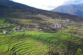 उत्तराखंड में कैसे कृषि कार्यों को बढ़ावा देगी सरकार!