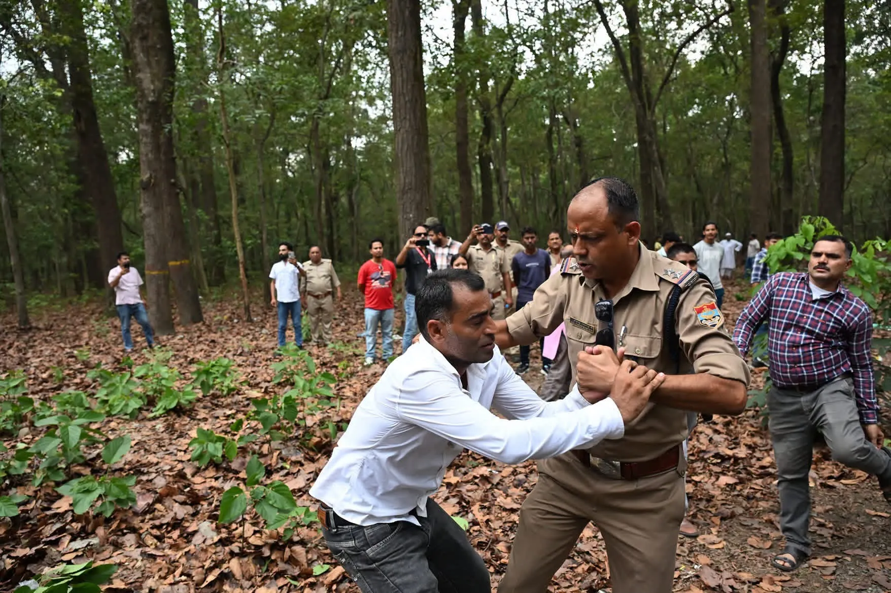 भानियावाला-ऋषिकेश फोरलेन पर घमासान, पेड़ों की कटाई के खिलाफ सड़क से सुप्रीम कोर्ट तक पहुंची लड़ाई