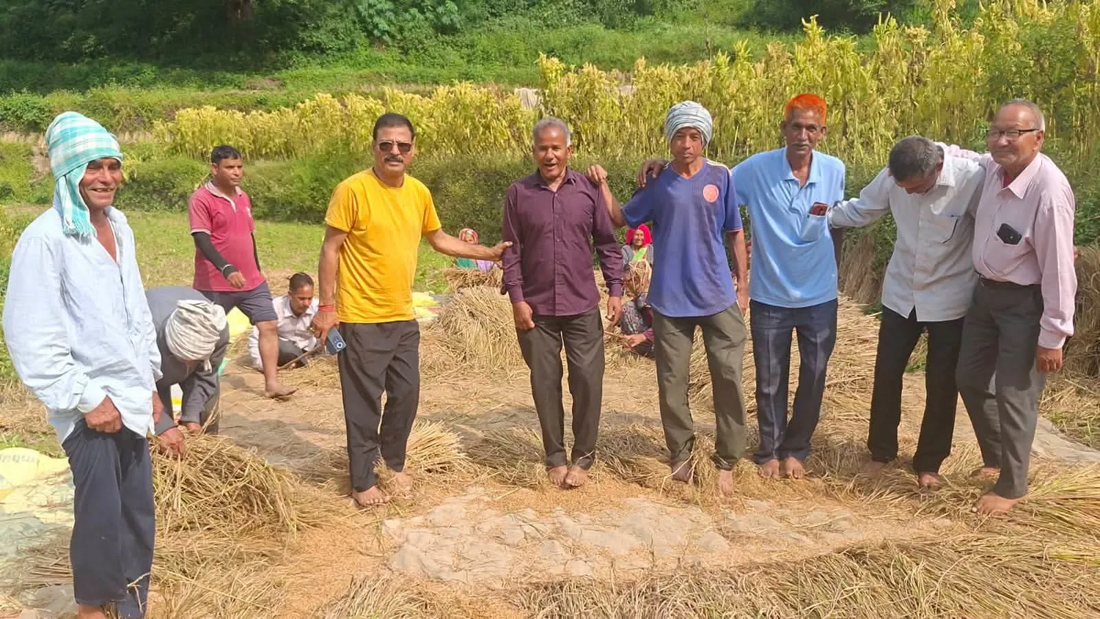 खेतों में उतरे पूर्व कैबिनेट मंत्री दिनेश धनै, धान की मढ़ाई में ग्रामीणों का बंटाया हाथ